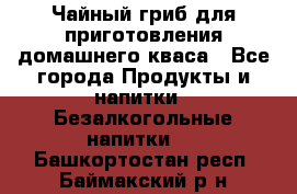 Чайный гриб для приготовления домашнего кваса - Все города Продукты и напитки » Безалкогольные напитки   . Башкортостан респ.,Баймакский р-н